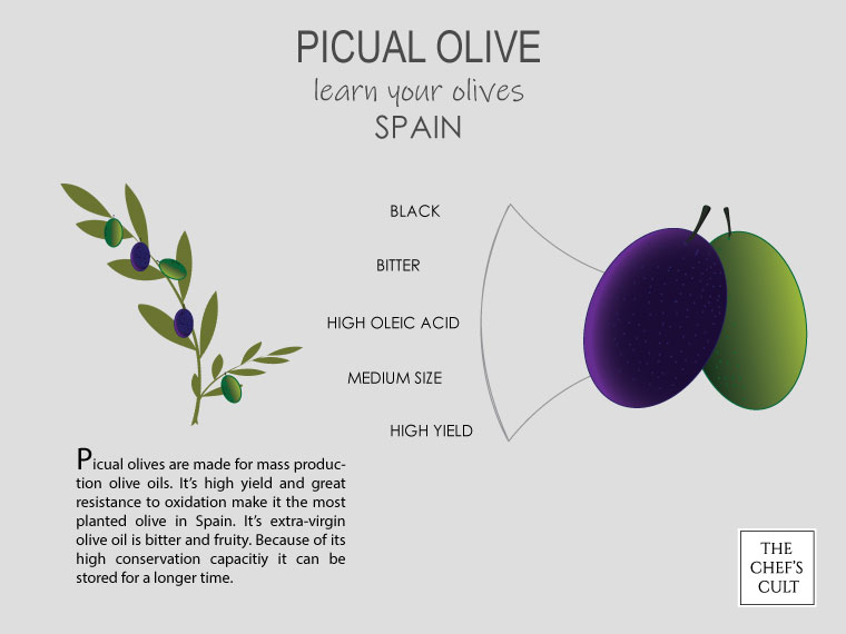 What color olives are used to make olive oil?