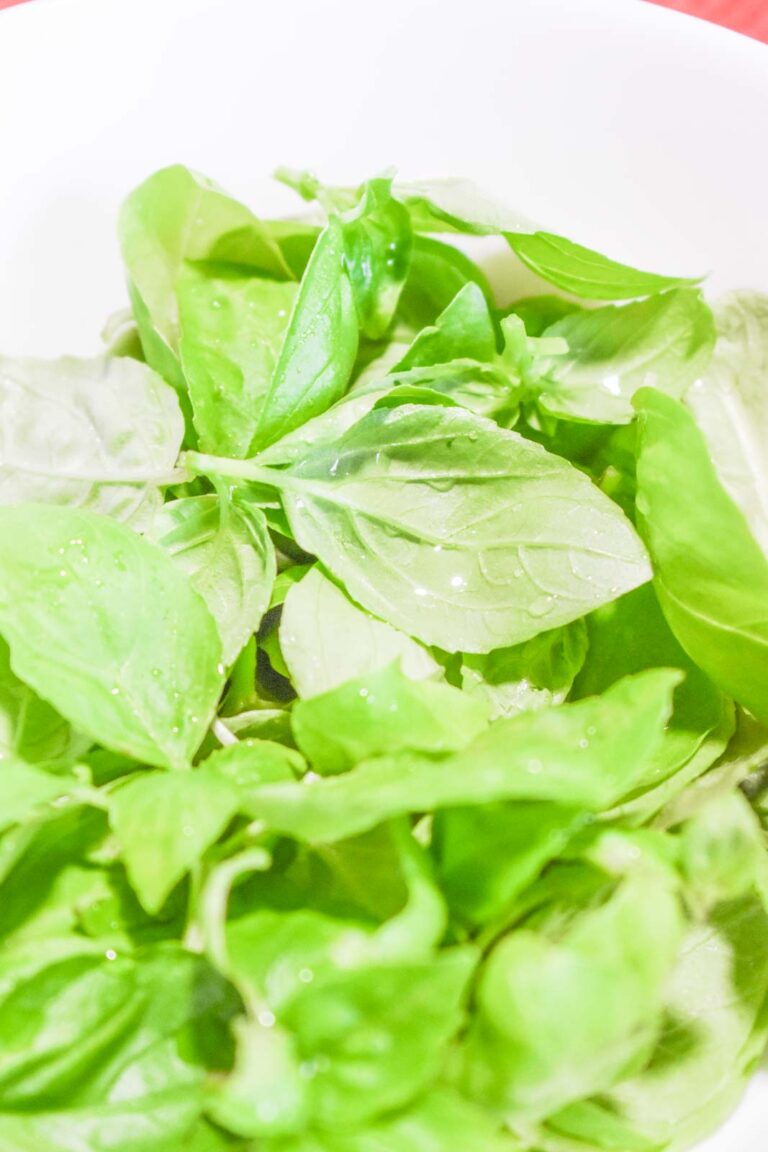 How to make quick basil oil The chef s cult