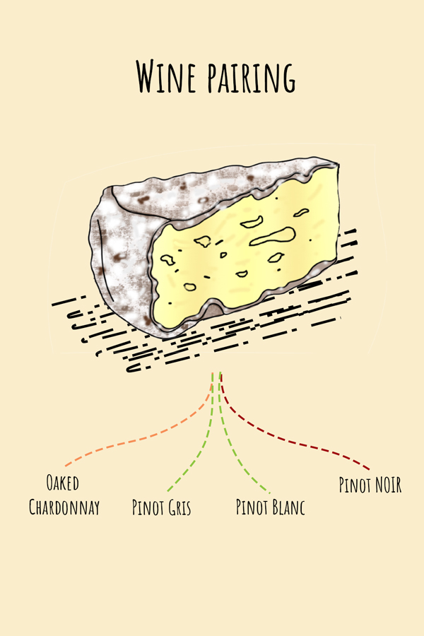 The facts about Tomme cheese! - The chef's cult