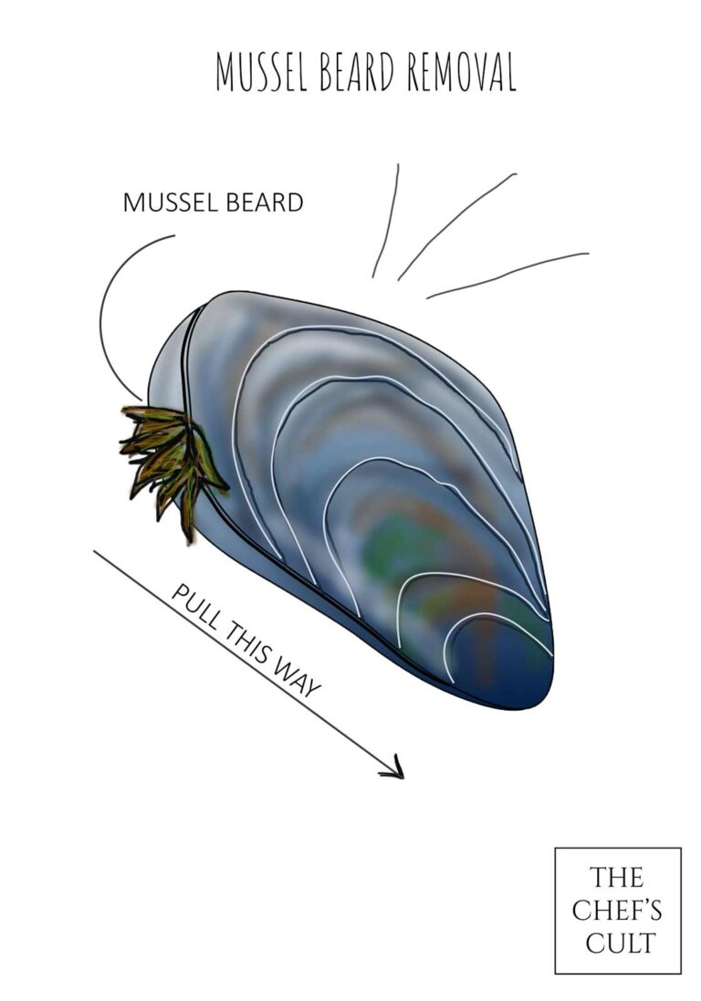 Picture showing hot to remove mussel beard by pulling it toward the hinge of the mussel.