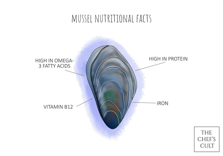 Shown are the health benefits of eating mussels. High Iron, vitamin B12, protein and omega-3 fatty acids.